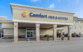 Comfort Inn & Suites Triadelphia - Wheeling
